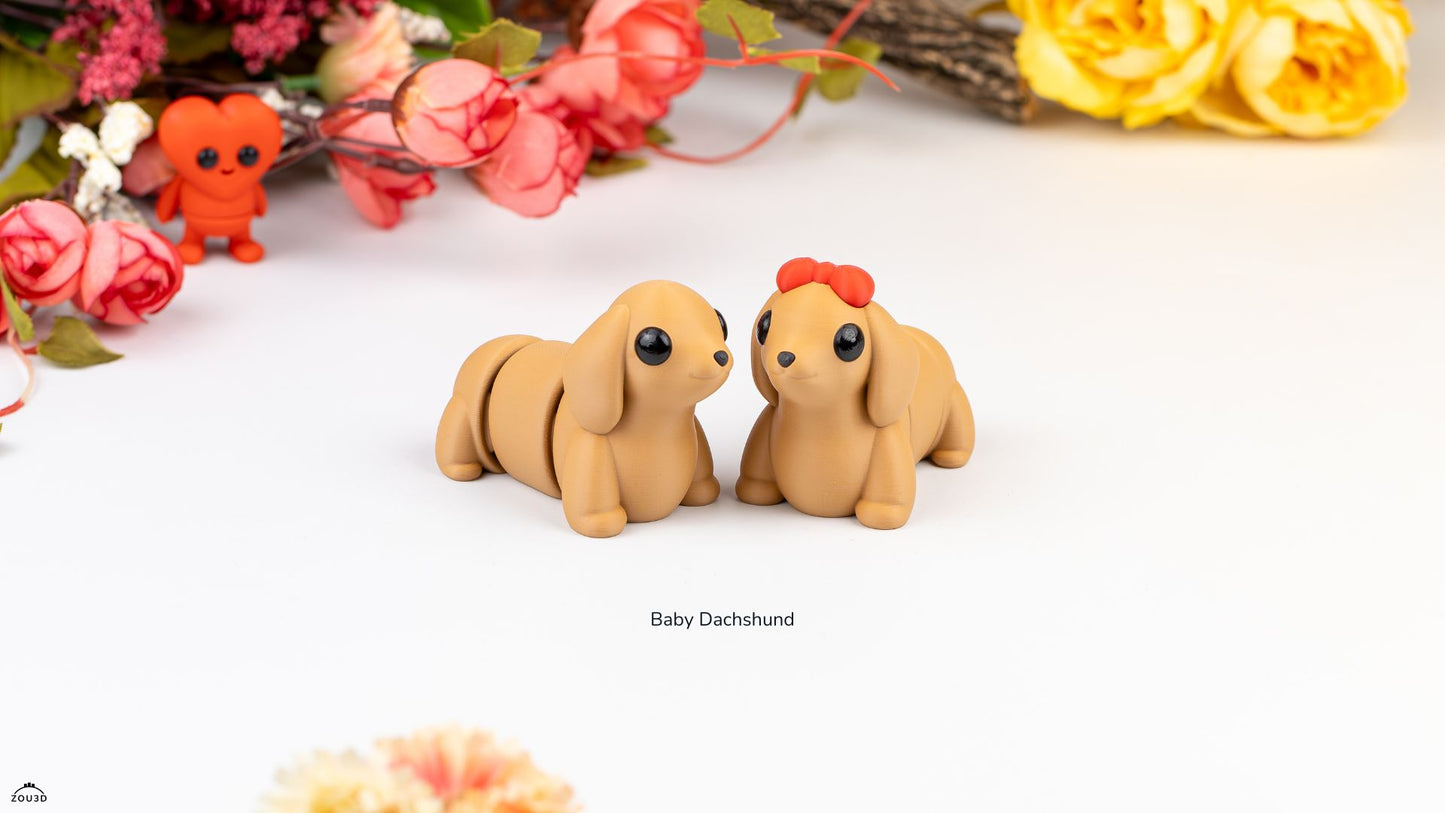 Zou mini Dachshund