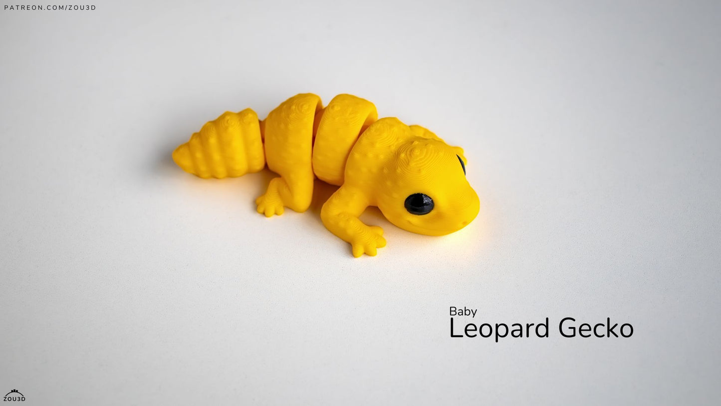 Zou baby leopard Gecko