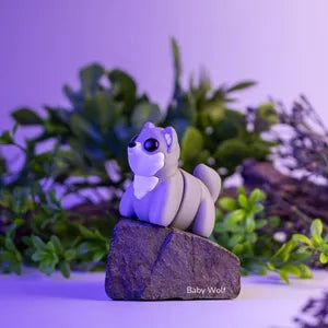 Baby wolf