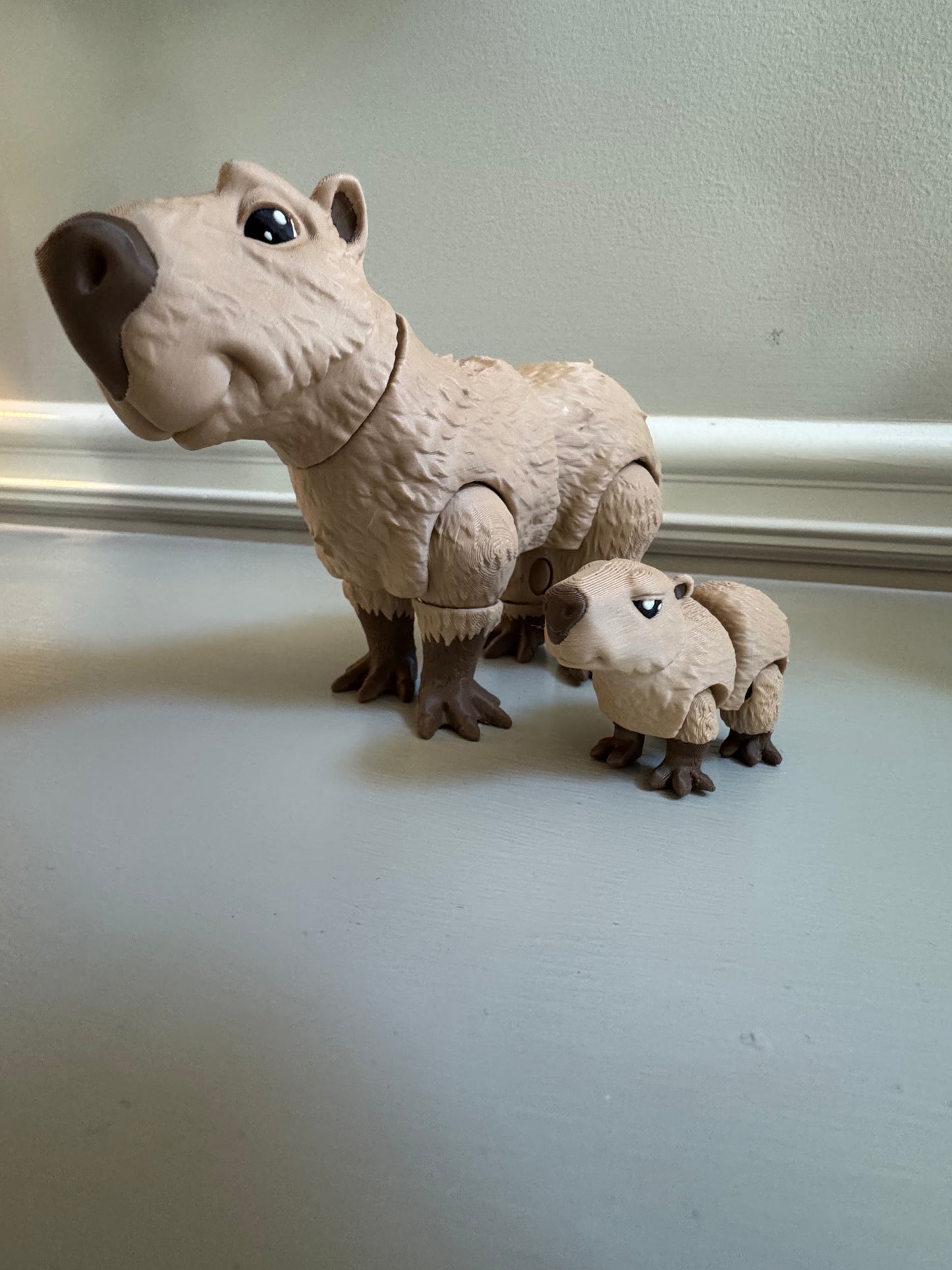 Cabybara