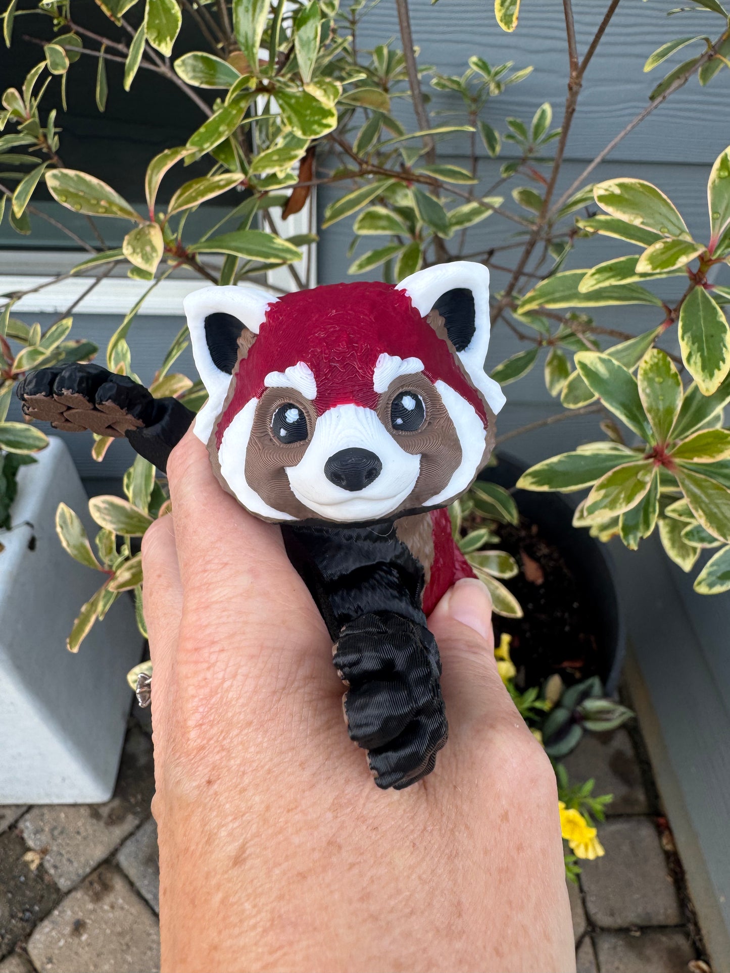MM Red Panda