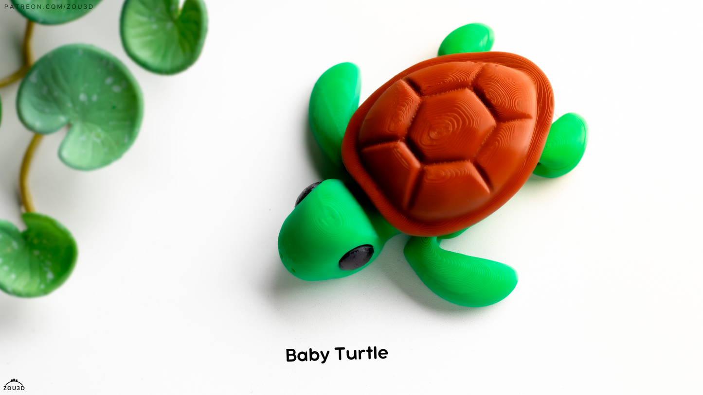 Zou baby Turtle