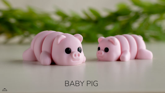 Zou baby pig