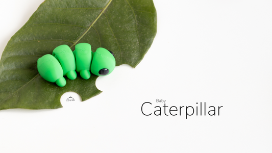 Zou baby caterpillar