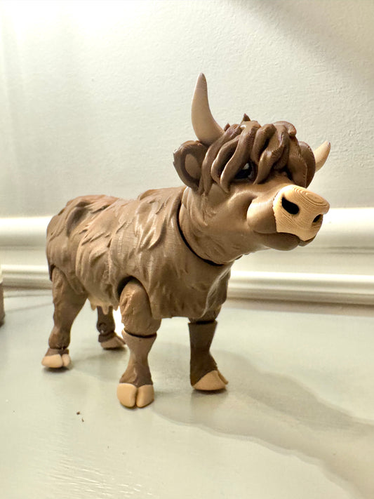Highland cow