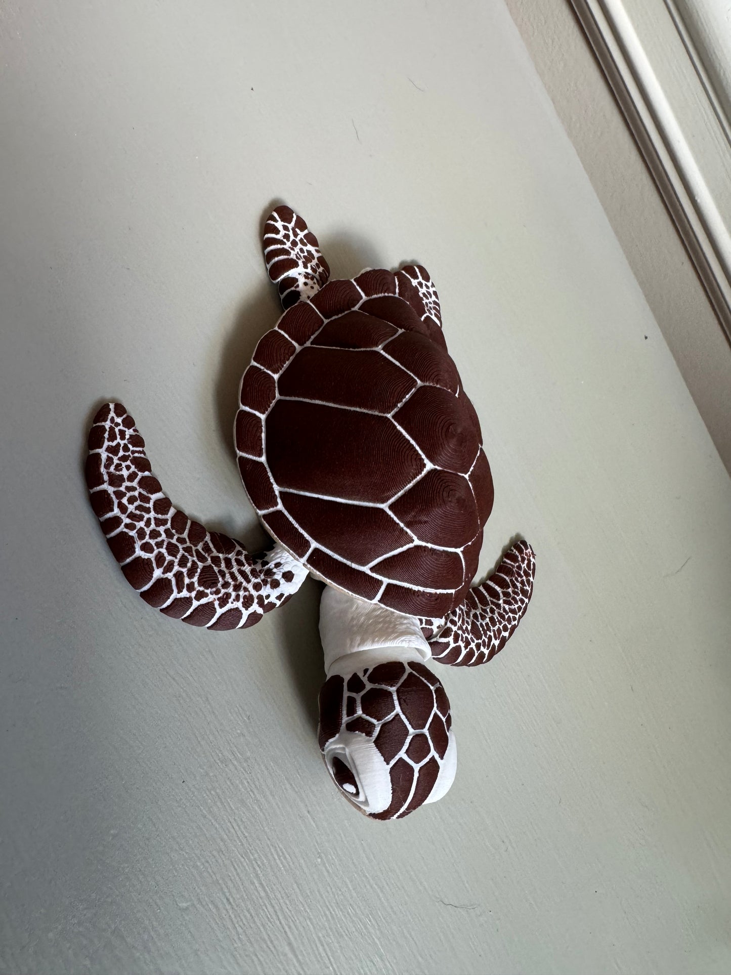 MM Sea Turtle