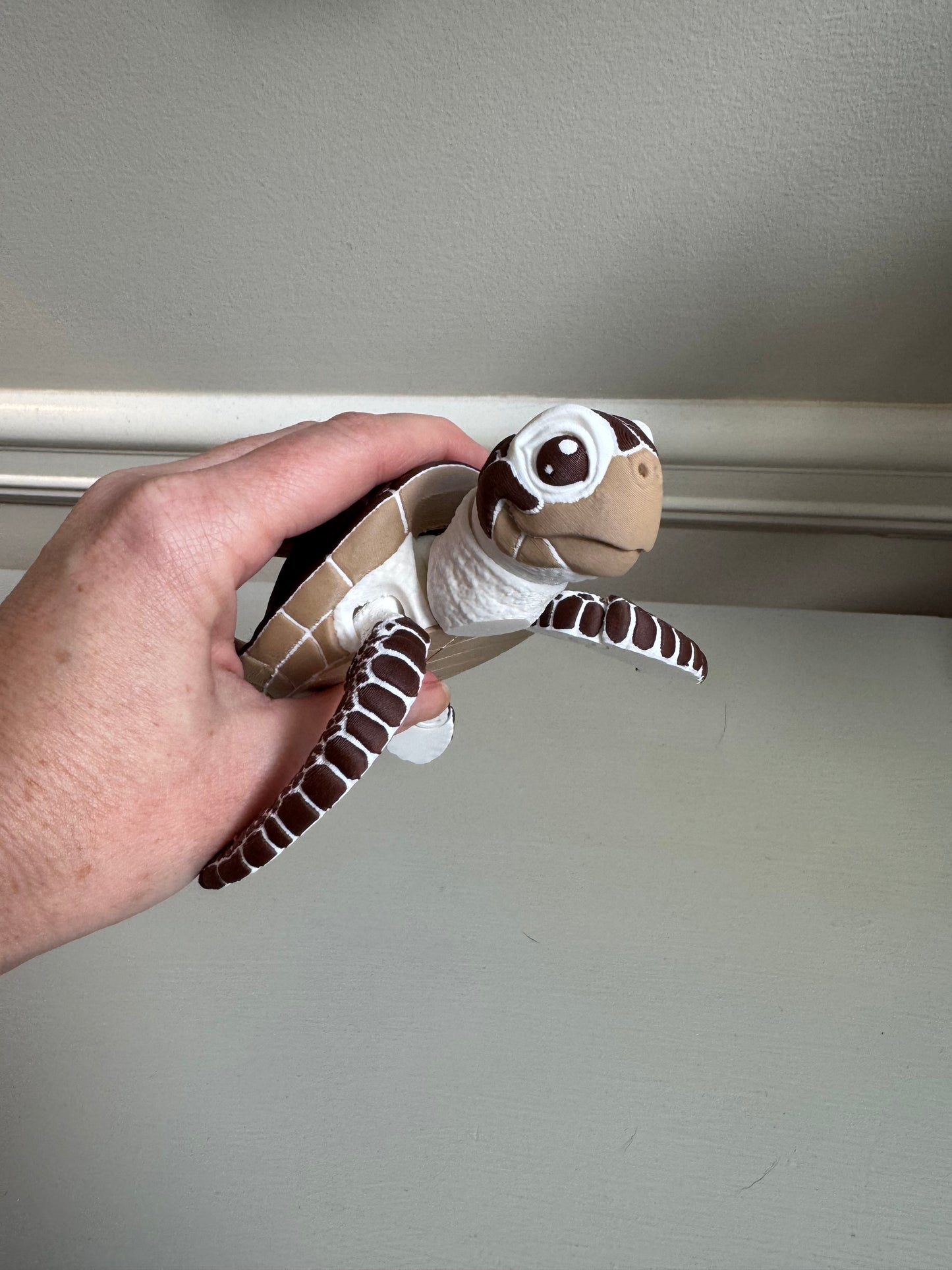 MM Sea Turtle