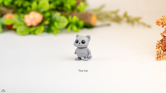 Tiny cat