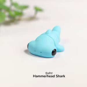 Baby hammerhead