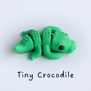 baby crocodile